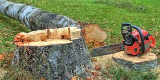 Best Lawn Grading and Leveling  in Spencerville, MD